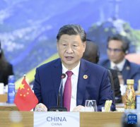 习近平在二十国集团领导人第十九次峰会第一阶段会议关于“抗击饥